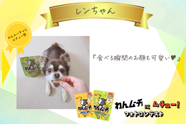 レンちゃん