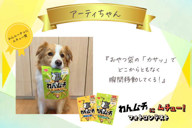 アーティちゃん