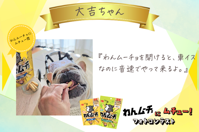 大吉ちゃん