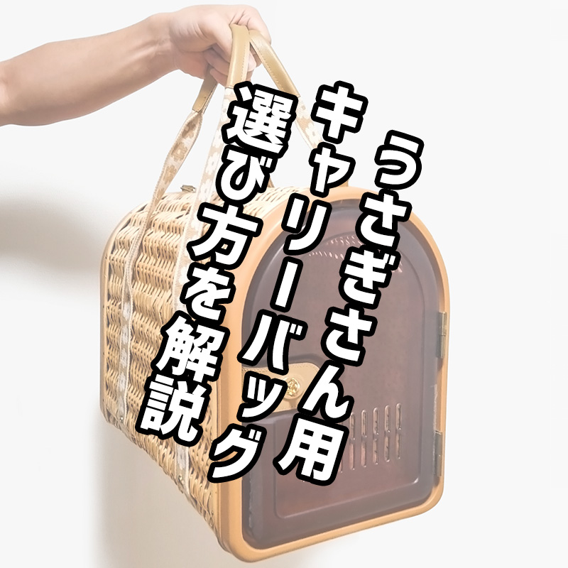 【タイプ別】うさぎのキャリーバッグの選び方を紹介！使う時に気をつけないといけないことは？