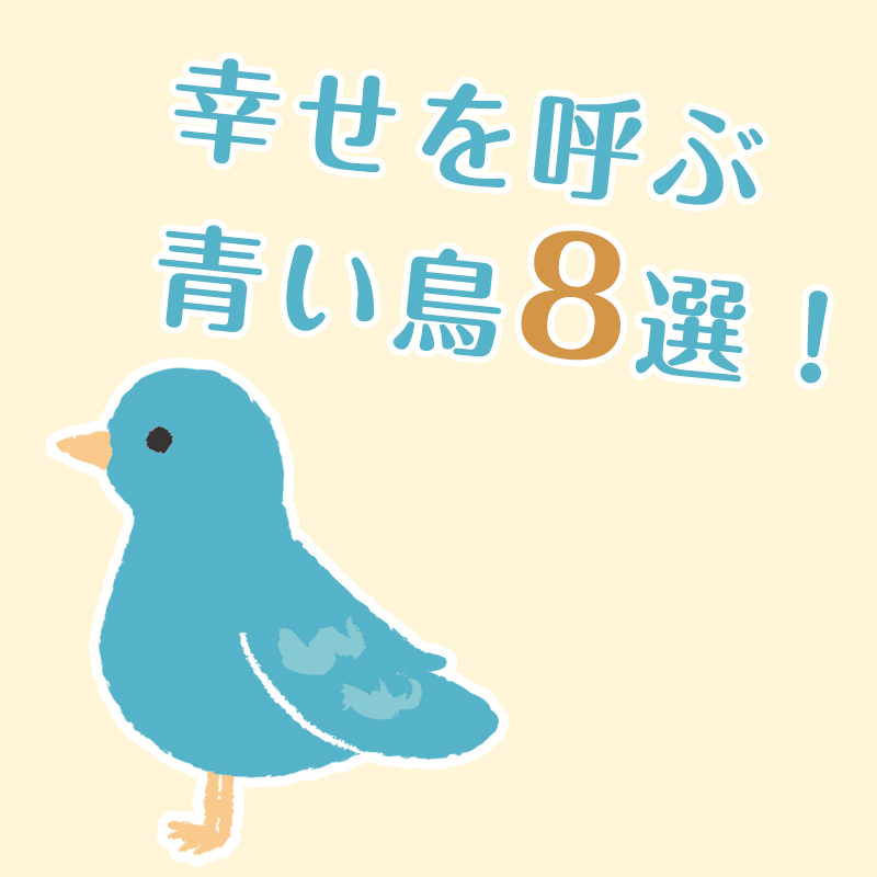 幸せを呼ぶ青い鳥8選！日本で見られる種類や特徴、会える場所を解説！