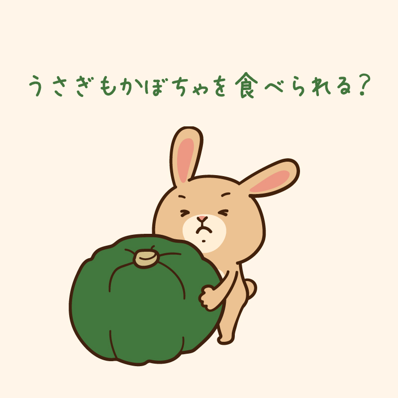 うさぎもかぼちゃを食べられる？種や皮は？与える際の注意点は