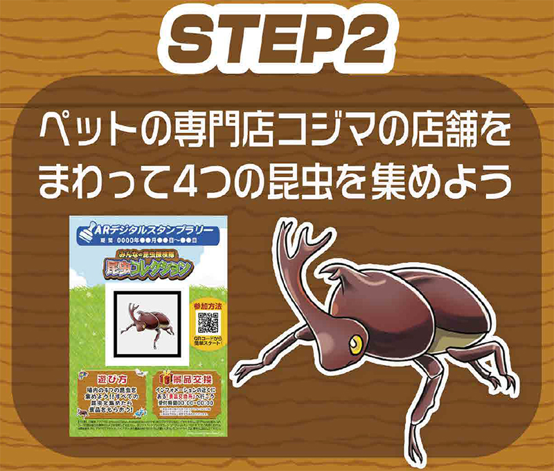 昆虫コレクションイベント告知_ロゴあり_A3_25070