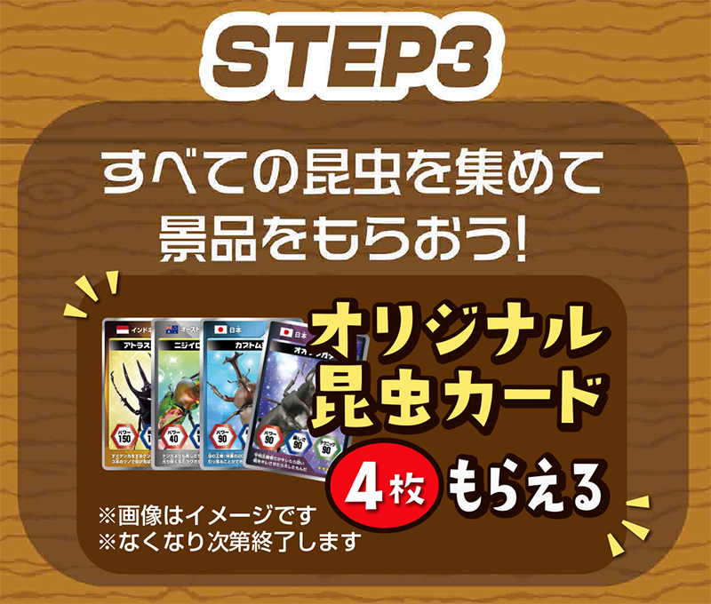 昆虫コレクションイベント告知_ロゴあり_A3_25070