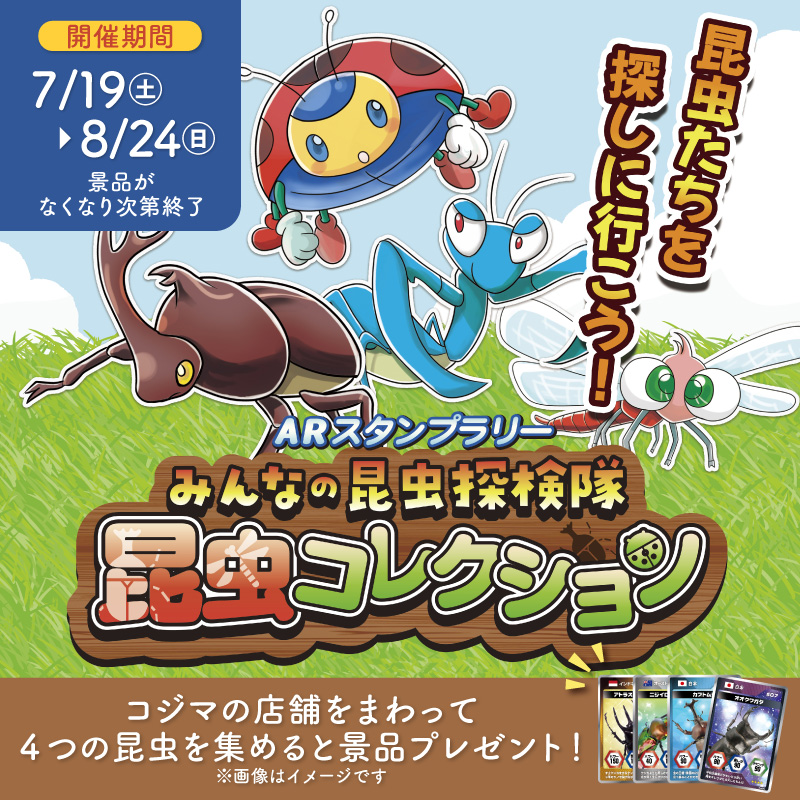 【ペットの専門店コジマで開催】みんなの昆虫探検「昆虫コレクション」