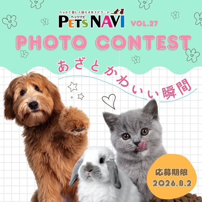 選ばれたらペットの専門店コジマ情報誌に掲載！『あざとかわいい瞬間』フォトコン開催中